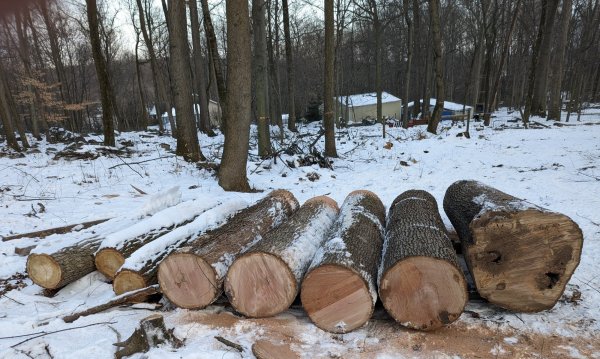 PXL_20220130_215546720 (1).jpg