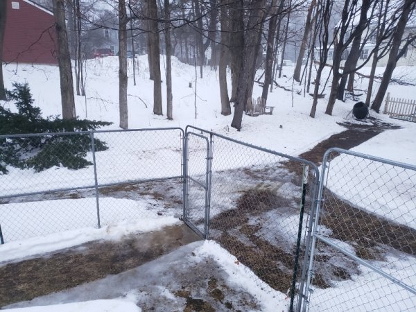 path to compost 2 pm.jpg