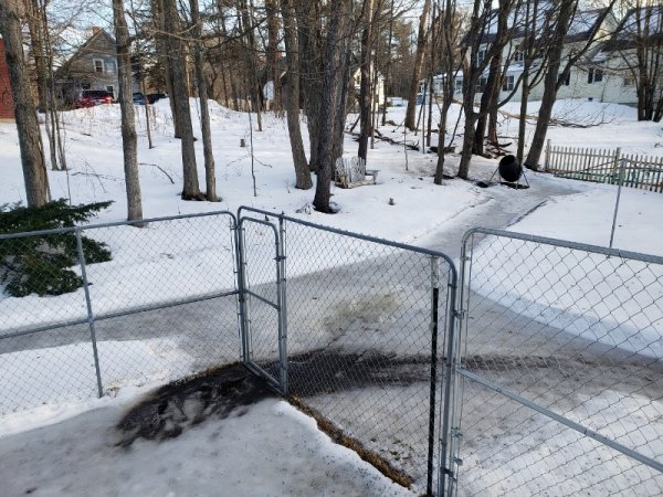 back yard ice 2-13 4pm - 2.jpg