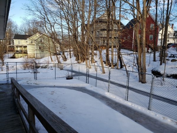 back yard ice 2-13 4pm.jpg