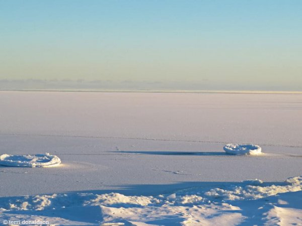 Ice disks-2.jpg