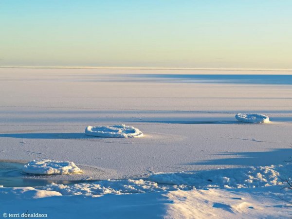 Ice disks-4.jpg