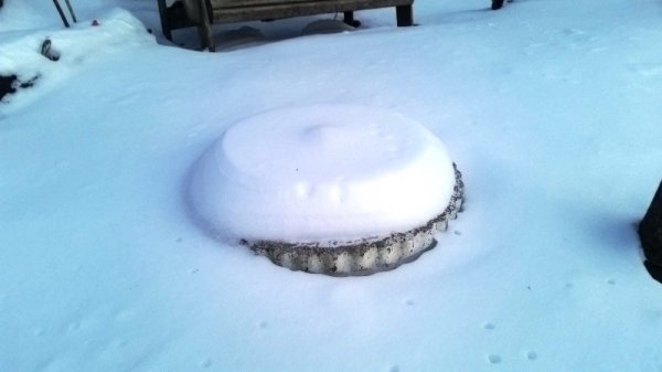 ice disk on bird bath 2.jpg