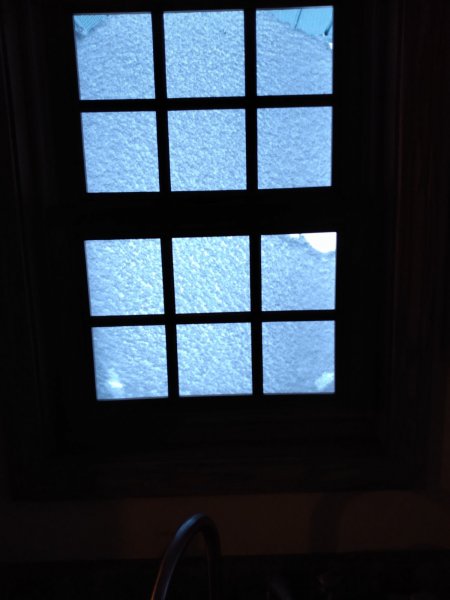 IMG_20220219_080257045.jpg