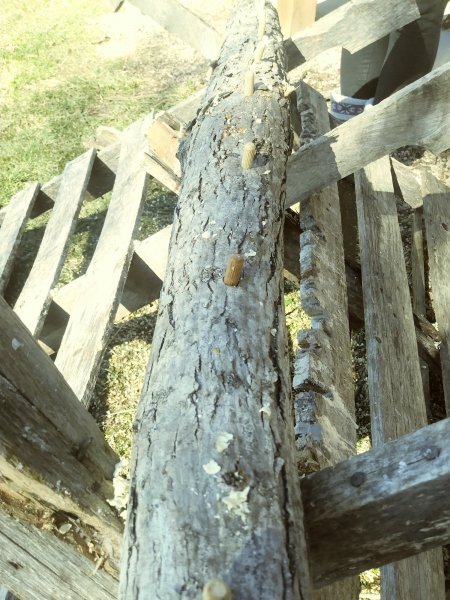 0220221147_Film2.jpg