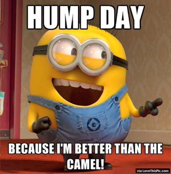 Minion-Wishing-You-Happy-Hump-Day.jpg