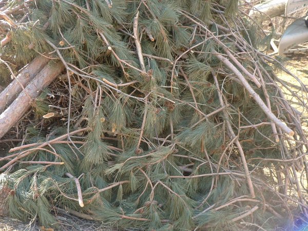 Fire 4-05-2011 003.JPG