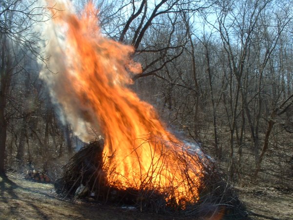 Fire 4-05-2011 012.JPG