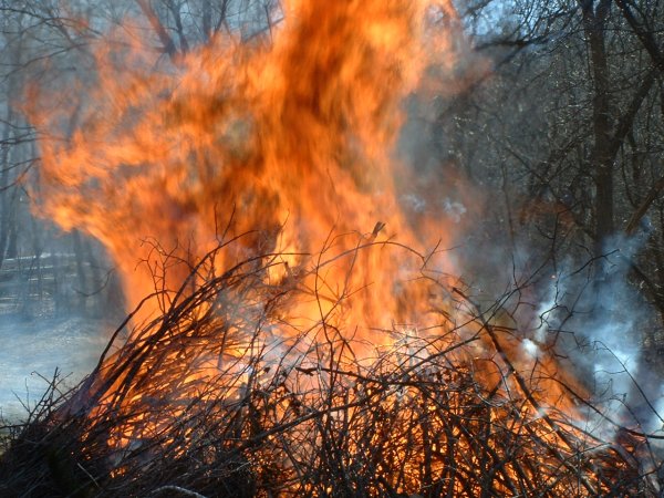 Fire 4-05-2011 016.JPG