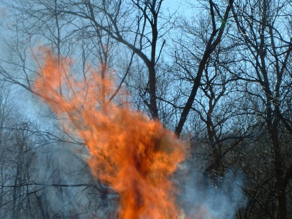 Fire 4-05-2011 017.JPG