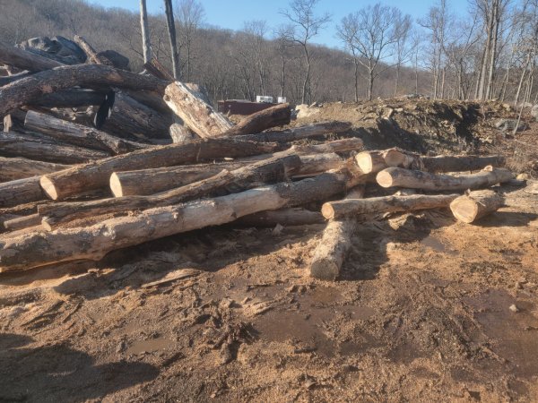 2022-03-02 15.25.33.jpg