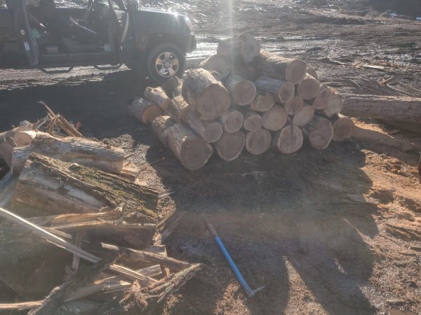 2022-03-02 15.25.28.jpg