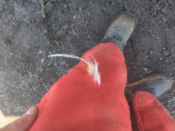 2022-03-02 15.08.47.jpg