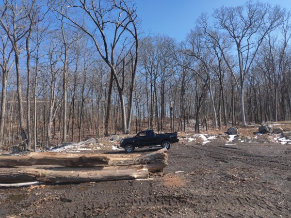 2022-03-02 13.47.40.jpg