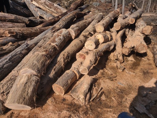 2022-03-02 13.47.36.jpg