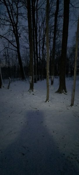 20220303_062437.jpg