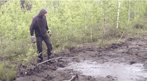 giphy (3).gif