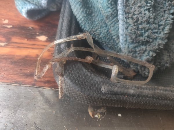 2022-03-05 15.50.57.jpg