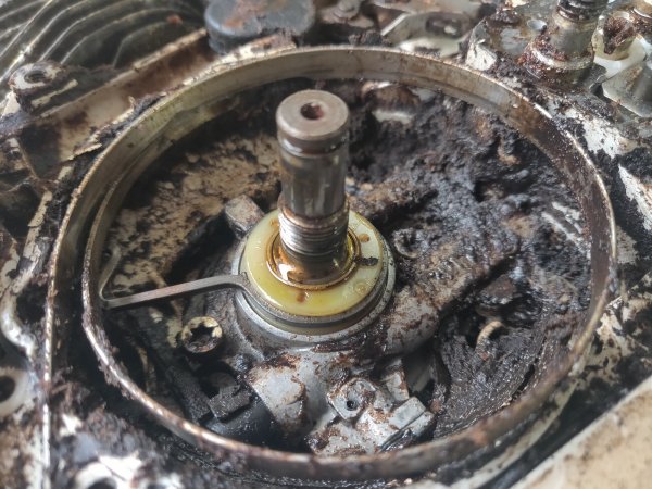 2022-03-05 15.11.18.jpg