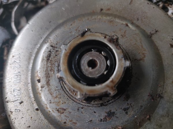 2022-03-05 15.04.34.jpg