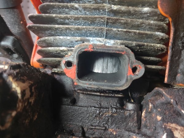 2022-03-05 14.22.23.jpg