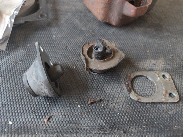 2022-03-11 14.08.47.jpg