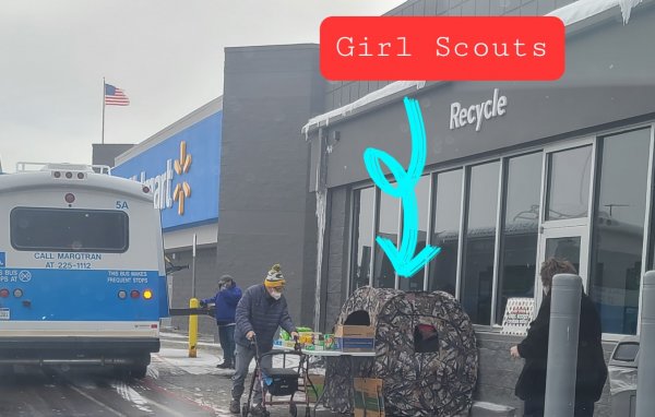 Girl Scout Cookie sale in UP.jpg