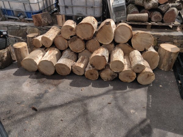 2022-03-28 12.09.40.jpg