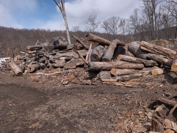 2022-03-28 11.26.37.jpg