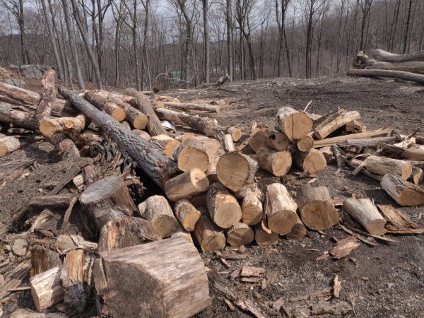 2022-03-28 11.26.35.jpg