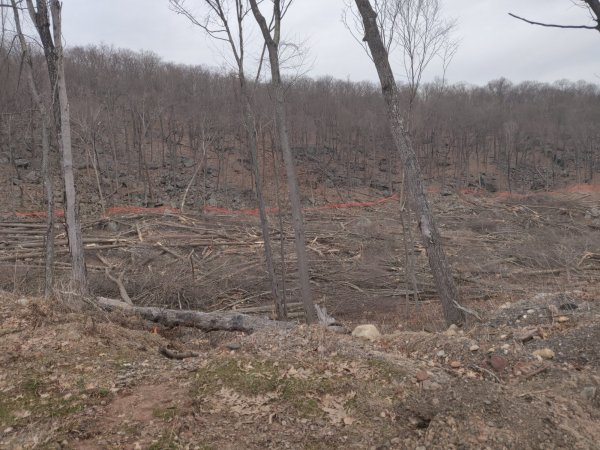 2022-03-23 13.10.05.jpg