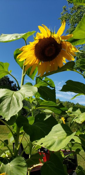20190811_154007.jpg