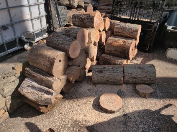 2022-04-08 16.41.18.jpg