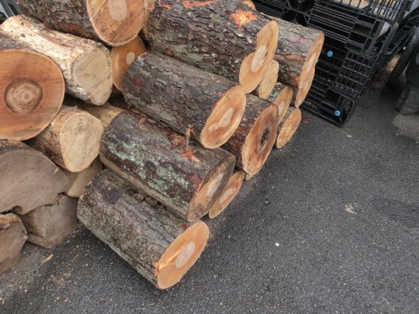 2022-04-09 11.44.12.jpg