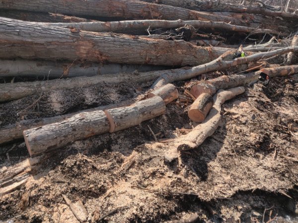 2022-04-08 15.04.28.jpg