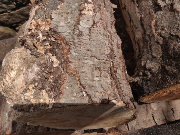 2022-04-09 13.56.02.jpg