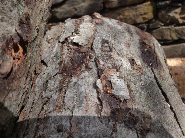 2022-04-09 13.55.55.jpg