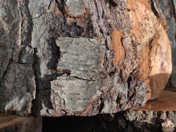 2022-04-09 13.55.39.jpg