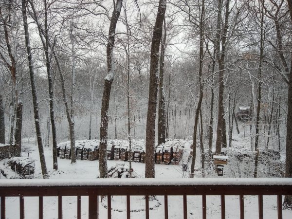 IMG_20220408_083128195_HDR.jpg