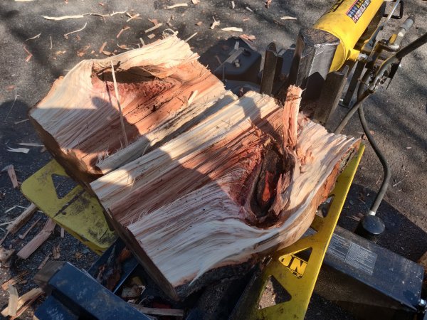 2022-04-11 10.29.03.jpg