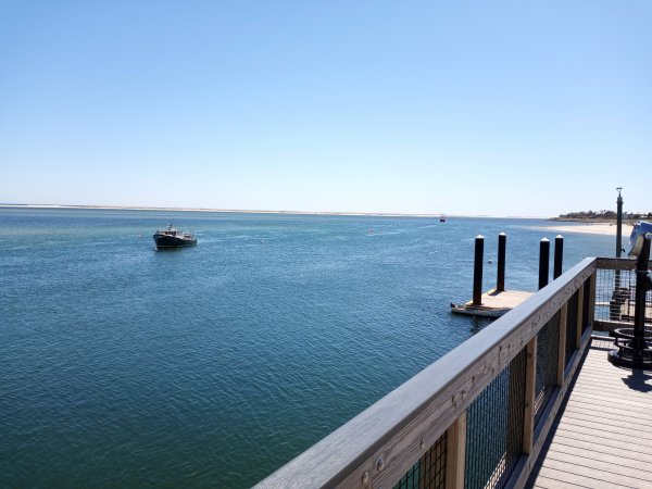 IMG_20220411_121057.jpg