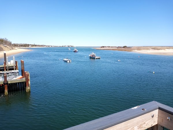 IMG_20220411_121018.jpg