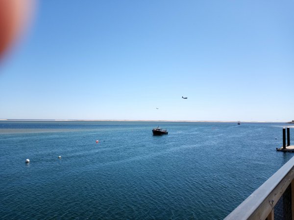 IMG_20220411_121352.jpg