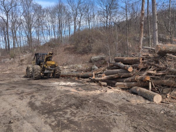 2022-04-11 13.31.38.jpg