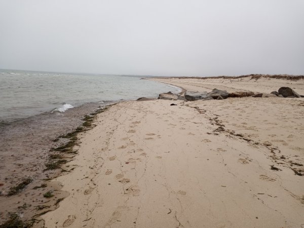 IMG_20220414_082845.jpg