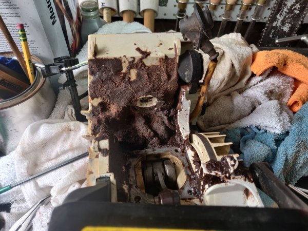 2022-04-16 11.58.16.jpg