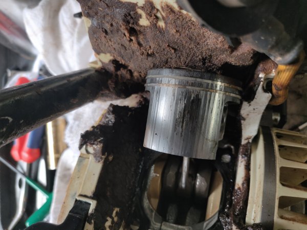 2022-04-16 11.47.00.jpg