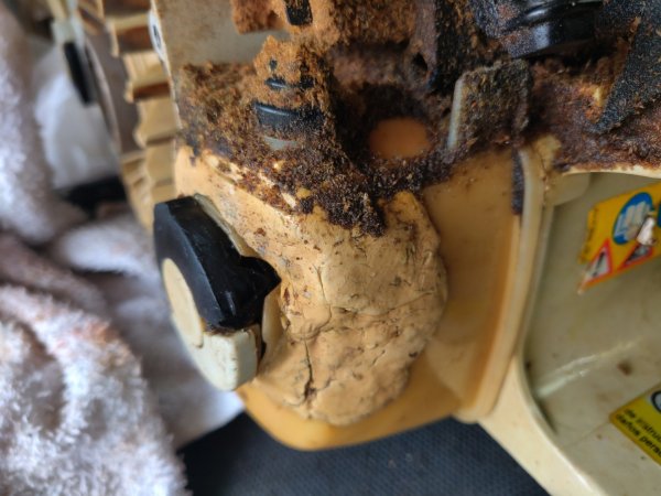 2022-04-16 11.22.06.jpg