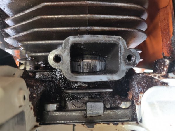 2022-04-16 11.16.59.jpg