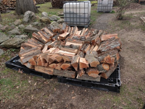 2022-04-21 12.23.42.jpg